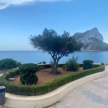 El Capricho De Frida *